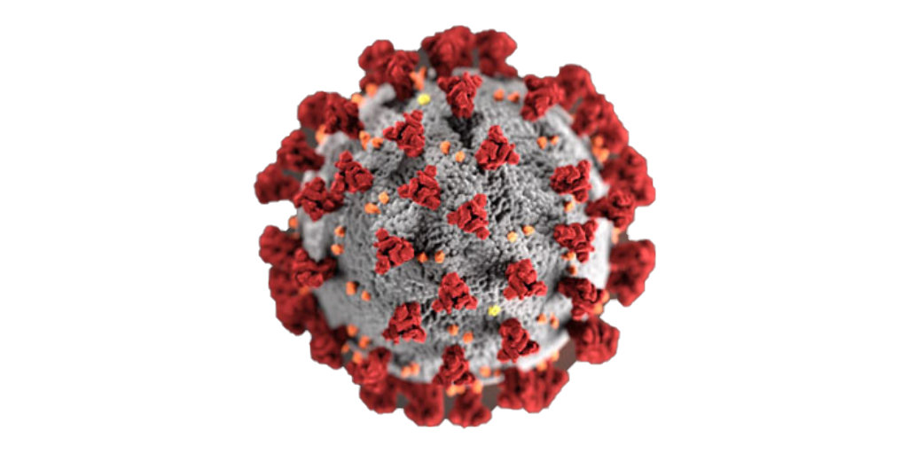 COVID virus image