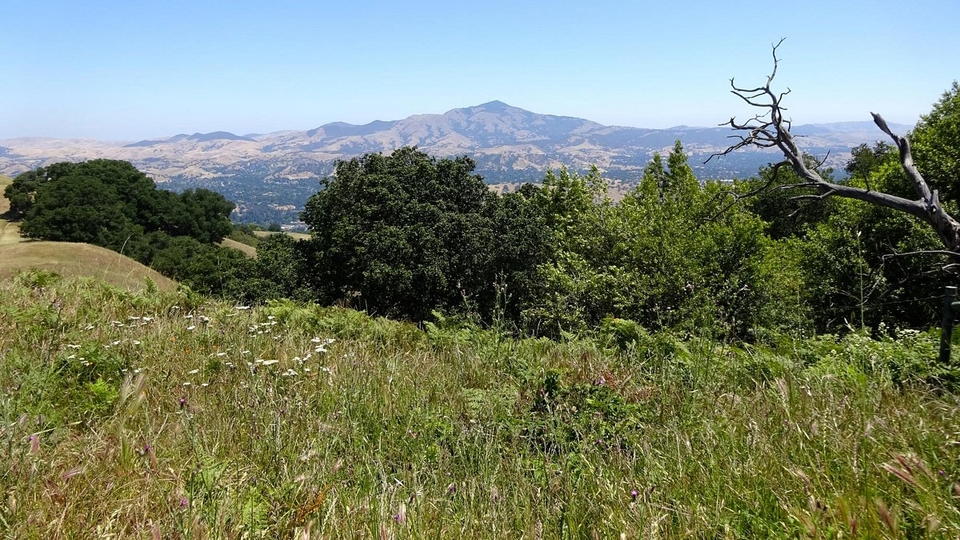 Las Trampas Regional Park